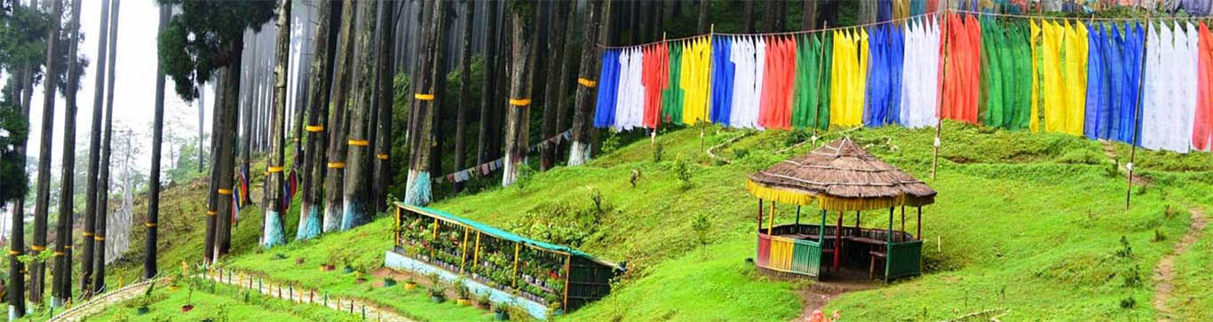 Lamahatta, Darjeeling