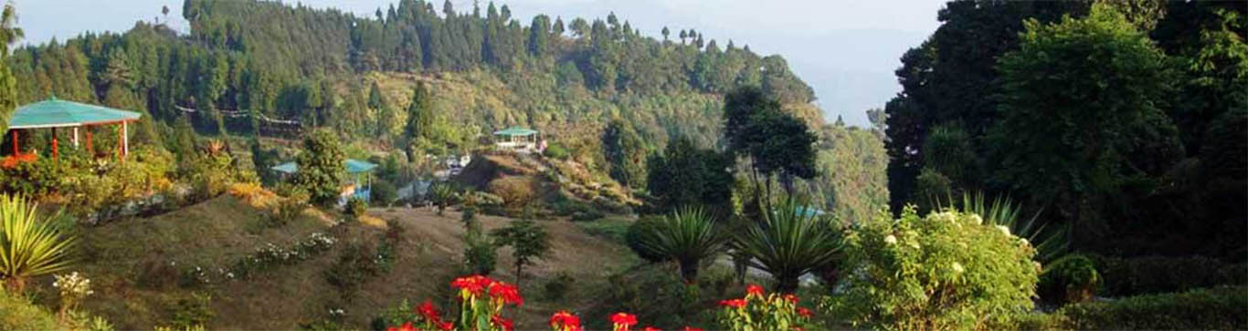 Pedong, Kalimpong