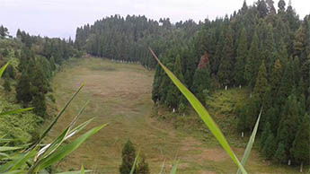 Latpanchar, Darjeeling