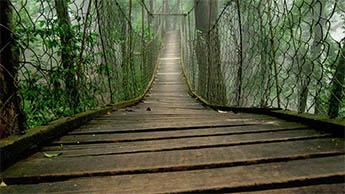 Lolegaon, Darjeeling