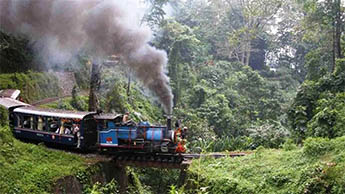 Rongtong, Darjeeling