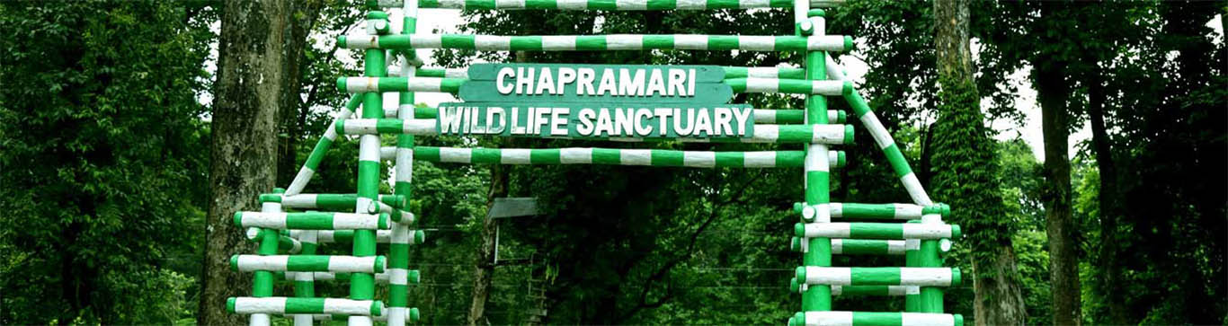 Chapramari, Dooars