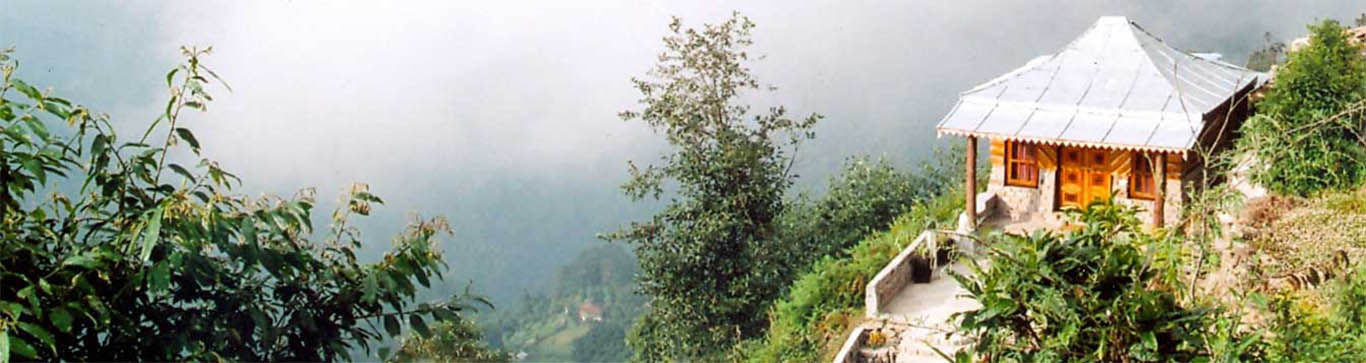 Todey Tangta, Dooars