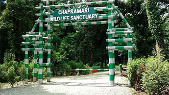 Chapramari, Dooars