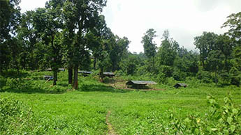 Lepchakha Village, Dooars