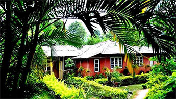 Todey Tangta, Dooars