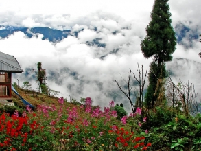 Lava Lolegaon Rishop Kolakham Tour Package